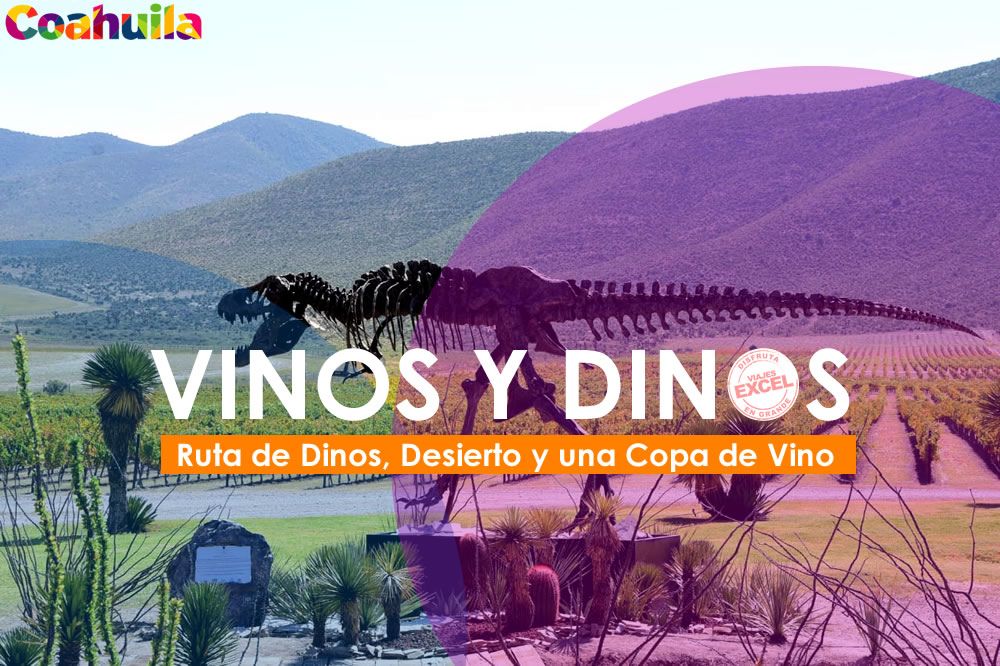 tour vinos y dinos